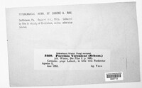 Image Associated With the Occurrence